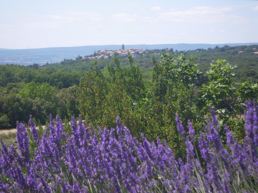 Les Esplanes Bed & Breakfast La Garde-Adhémar Dış mekan fotoğraf
